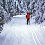 v bílé stopě Českým lesem